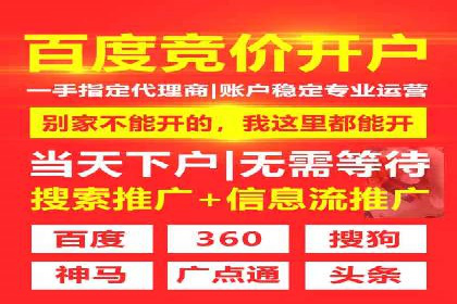 深度解析：SEM竞价优化提升ROI的案例